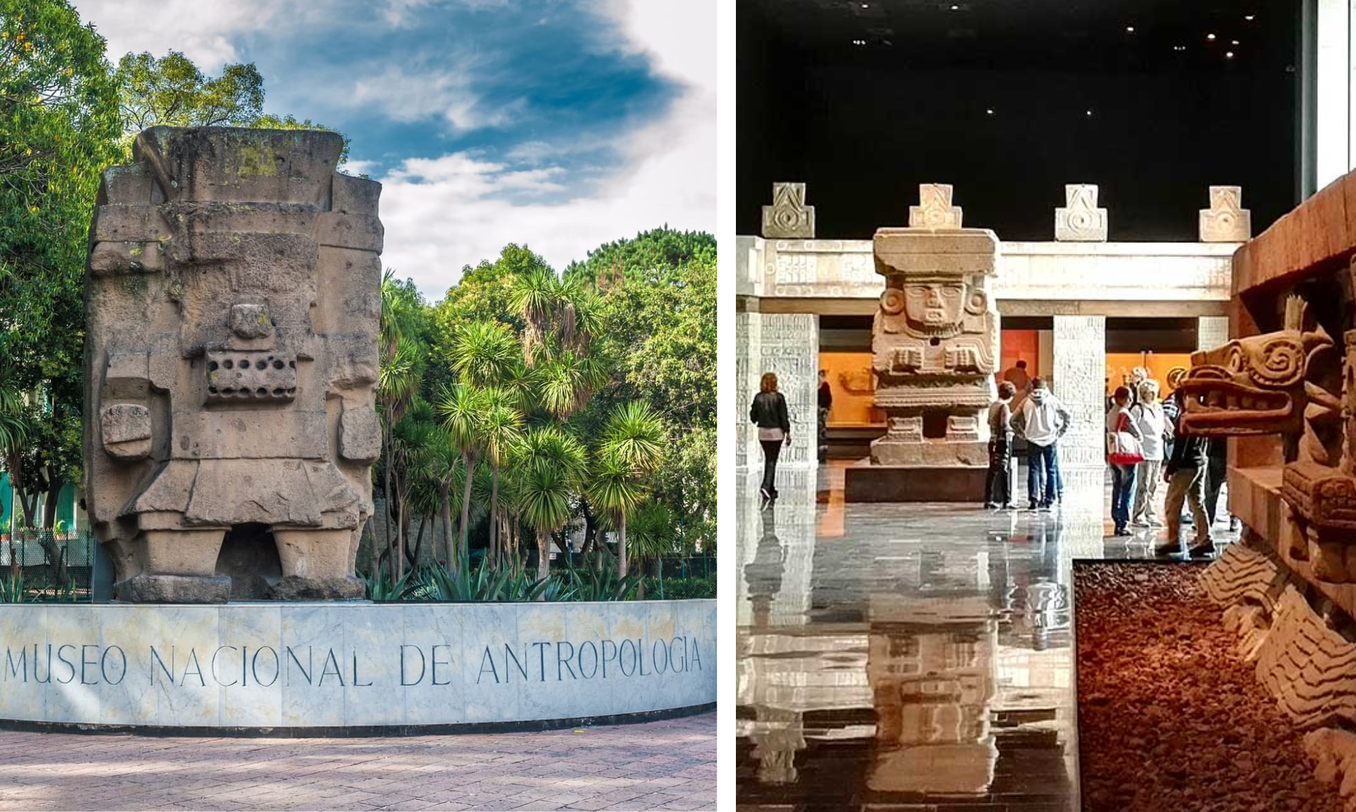 Museo de antropologia